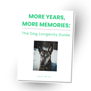 The Dog Longevity Guide - Ebook