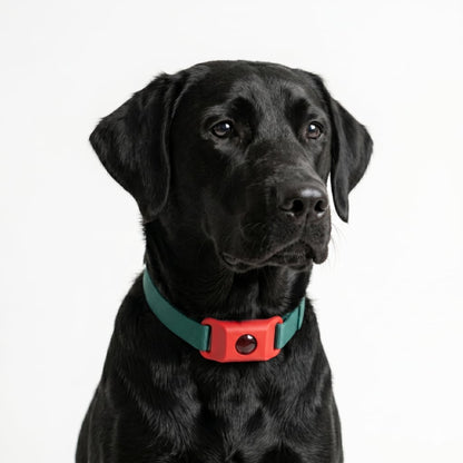 Zyrix Tick & Flea Shield