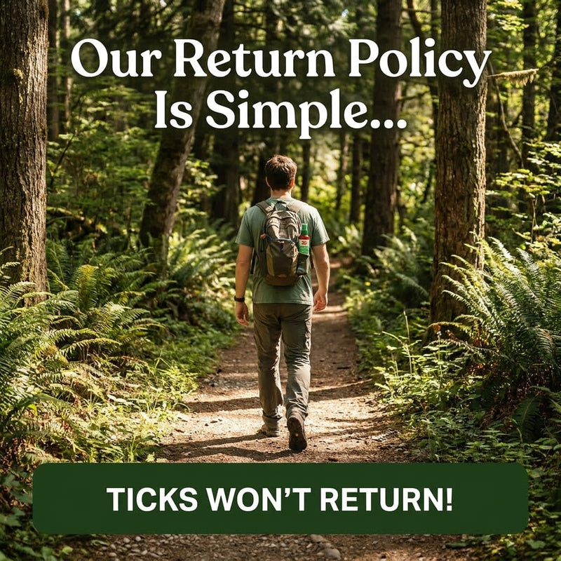 Fallback Image