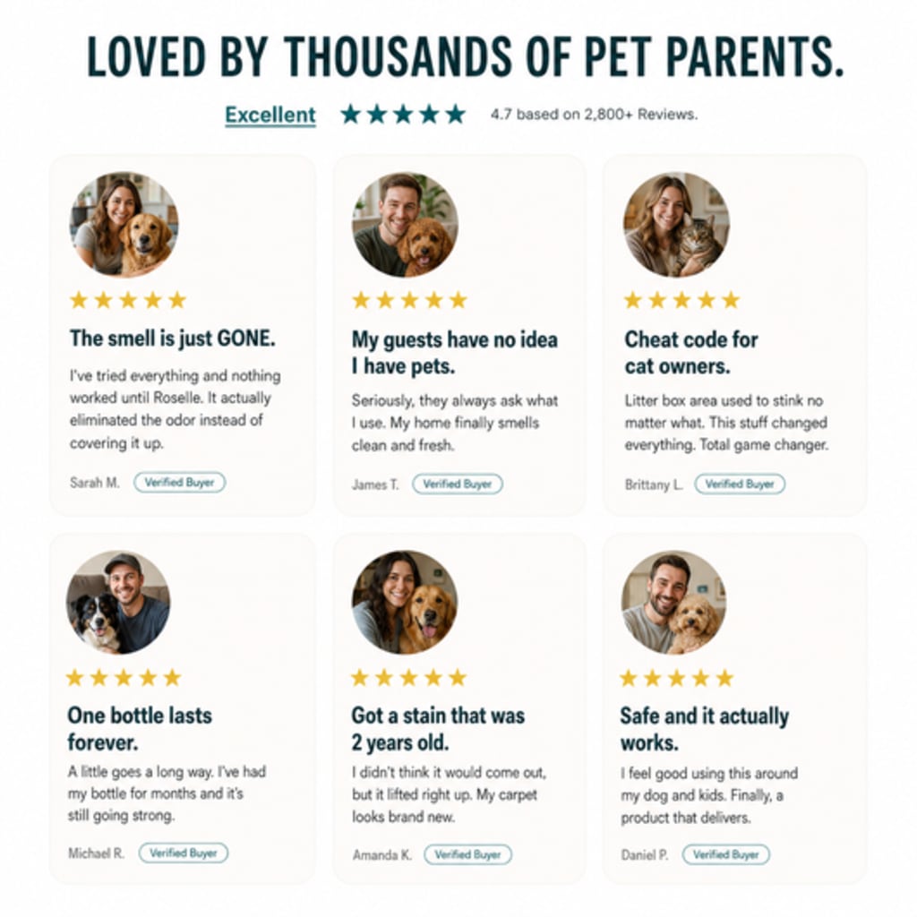 Zyrix Pet Odor Remover